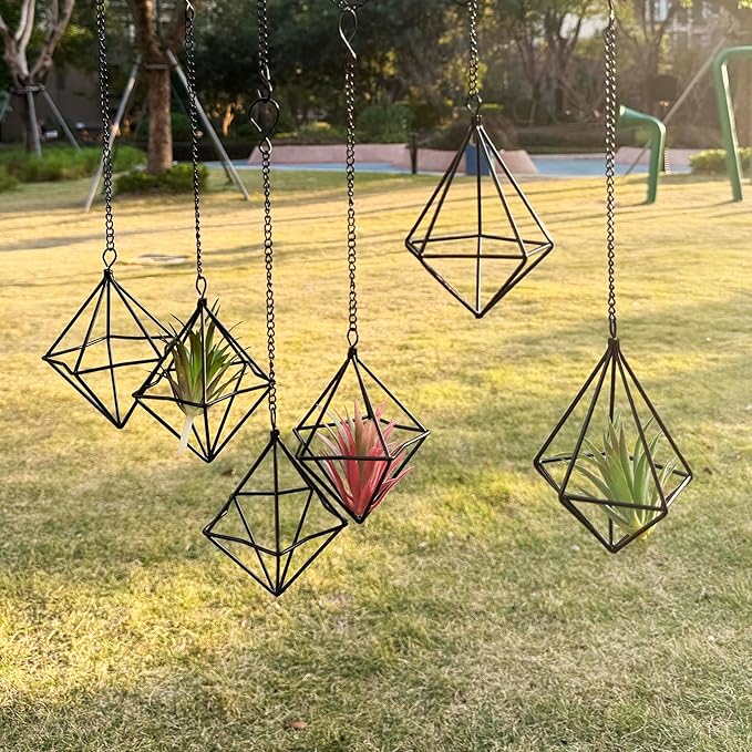 6 Pack Hanging Metal Air Plant Holders with Chain, Black Geometric Tillandsia Air Plant Hanger Cages, 2 Styles Mini Iron Air Plants Live Holders for Home Office Garden Decor