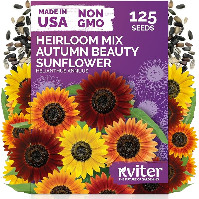 KVITER 125 Autumn Beauty Mix Sunflower Seeds (Helianthus Annuus) - Common Sunflower, Tall Colorful Flower Seed Packets - Heirloom Flower Seeds for Outdoor Garden, Borders, Ideal Cut Flowers