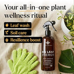 Neem Oil Spray for Plants – Big Leaf Energy, with Essential Oils – Ready-to-Use Plant Spray for Outdoor & Indoor Plants, Made in USA (16 fl oz)