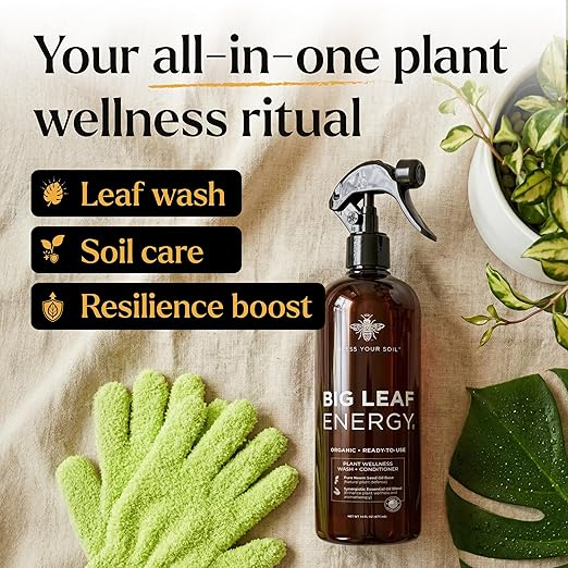 Neem Oil Spray for Plants – Big Leaf Energy, with Essential Oils – Ready-to-Use Plant Spray for Outdoor & Indoor Plants, Made in USA (16 fl oz)