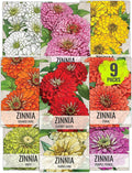 Seed Needs Zinnia Seeds for Planting California Giants Zinnias - Collection of 9 Individual Heirloom Seed Packets - Grow a Butterfly Garden to Attract Butterflies, Bees & Other Pollinators