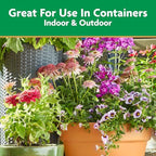 Miracle-Gro Pour & Feed Plant Food - Outdoor and Indoor Plant Fertilizer for Containers, Instantly Feeds, 32 fl. oz.