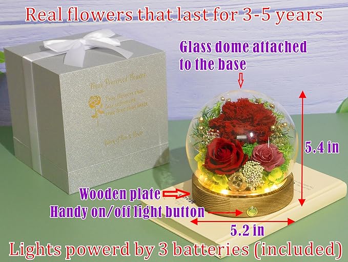 Valley of Rain & Forest Long-Lasting Real Flowers, Unique Floral Gift For you to send Love for All Occasions, for Indoor Decoration (Red Carnation Arrangement)