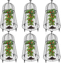 6 Packs Garden Cloches for Plants, Plant Protectors from Animals, Chicken Wire Cloche, Plant Cloche and Cage, Protection for Your Plants and Seedlings, 13" D x 20" H - Black