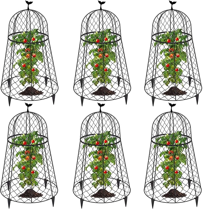 6 Packs Garden Cloches for Plants, Plant Protectors from Animals, Chicken Wire Cloche, Plant Cloche and Cage, Protection for Your Plants and Seedlings, 13" D x 20" H - Black