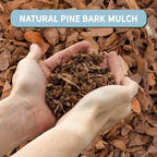 100% Natural Pine Bark Mulch Nuggets (8 Quarts), Small Mulch Chips for Indoor/Outdoor Container Gardening, Ideal for Soil Supplement, Houseplant Mulch
