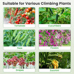 Cucumber Trellis, 35" X 50" A-Frame Garden Trellis for Climbing Plants Outdoor, Trellis Cucumber for Raised Bed, Foldable Plant Support for Vine/Vegetable/Tomato/Zucchini/Pea