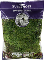 SuperMoss (21542) Mood Moss Preserved, Fresh Green, 4oz