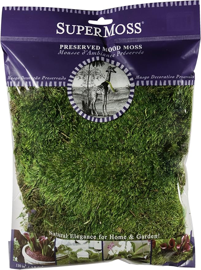 SuperMoss (21542) Mood Moss Preserved, Fresh Green, 4oz