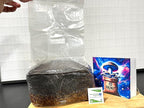 Magical 5 lb Mushroom All in One Grow Bag for Manure Loving Mushrooms with Injection Port and 0.2 Micron Breathable Filter