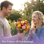 KVITER 1,500 Tall Mix Strawflower Seeds for Planting (Xerochrysum/Helichrysum Bracteatum) — Golden Everlasting Flower, Paper Daisy — Ideal Organic, Heirloom Cut Flower Seeds to Plant Outside & Drying