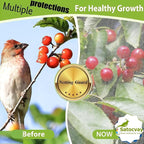 Large Fruit Tree Netting - 2 Pack 10x10FT Easy Install Plant Protection Cover, Reusable Garden Mesh Bag for Blueberry Bushes/Tomato - Blaock Birds/Insect/Squirrels