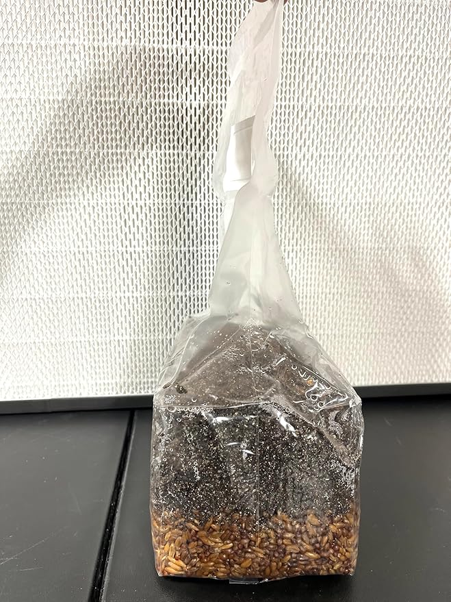 Magical 5 lb Mushroom All in One Grow Bag for Manure Loving Mushrooms with Injection Port and 0.2 Micron Breathable Filter