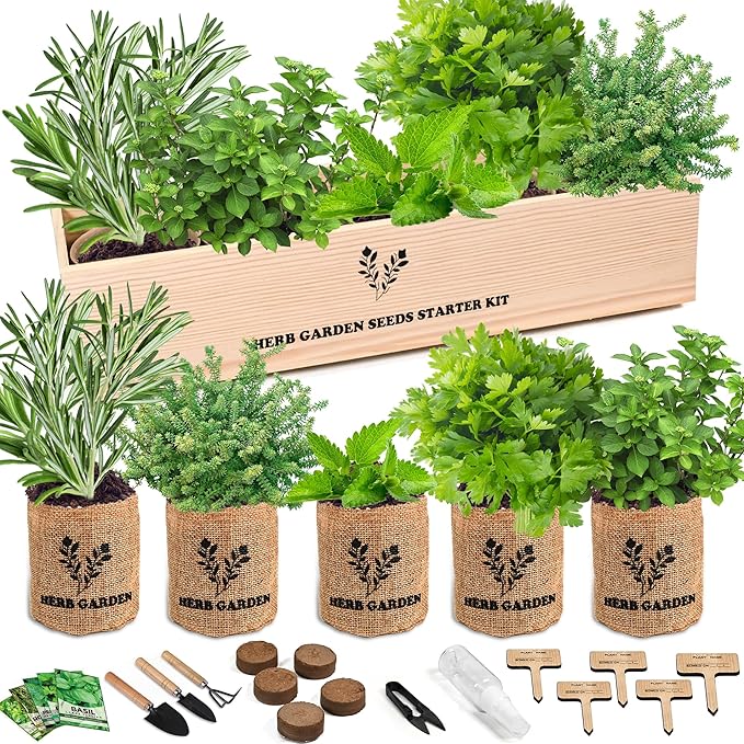 Indoor Herb Garden Starter Kit, Including A Complete Gardening Tools for Women Parents Gift