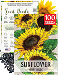 Seed Needs Henry Wilde Sunflower Seeds for Planting - Heirloom & Open Pollinated Cut Flowers - Annual Wildflowers to Grow a Butterfly Garden (1 Pack)