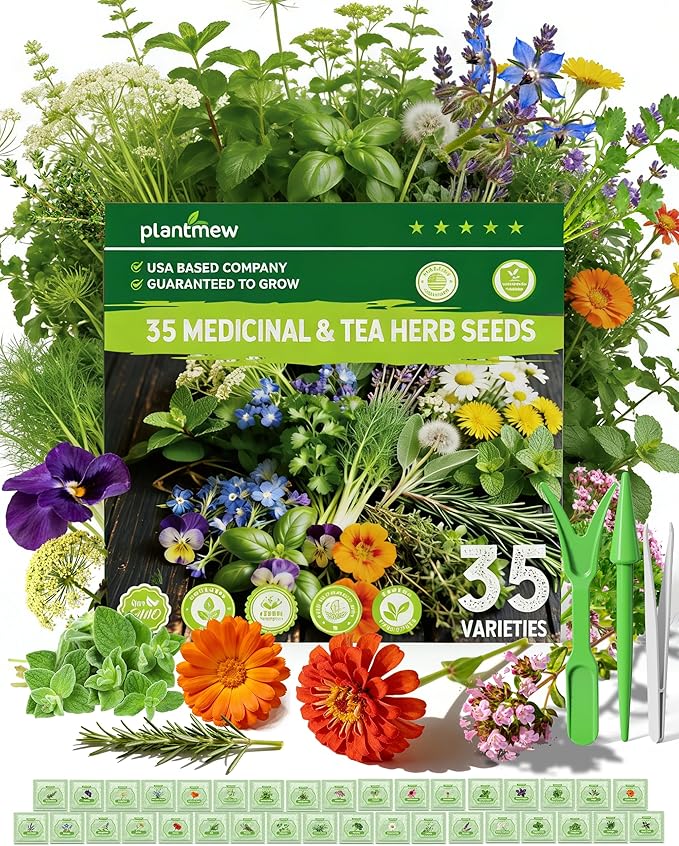 Medicinal & Tea Herb Seeds for Planting - 35 Non-GMO Heirloom Variety Pack for Indoor/Outdoor Garden: Anise, Bergamot, Borage, Fennel, Chamomile, Dandelion, Oregano, Hyssop, Catnip Seeds & More