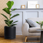 D'vine Dev 12 Inch Ceramic Planter Pot with Drainage Hole and Saucer, Indoor Cylinder Round Planter Pot, Black, 94-O-F-2