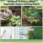 6 Pack Garden Plant Protectors from Animals with Stakes, Metal Mesh and Detachable Covers Wire Plant Cage for Keeping Bunny Animals Out, Chicken Wire Cover Garden Protect (12 * 13 in)