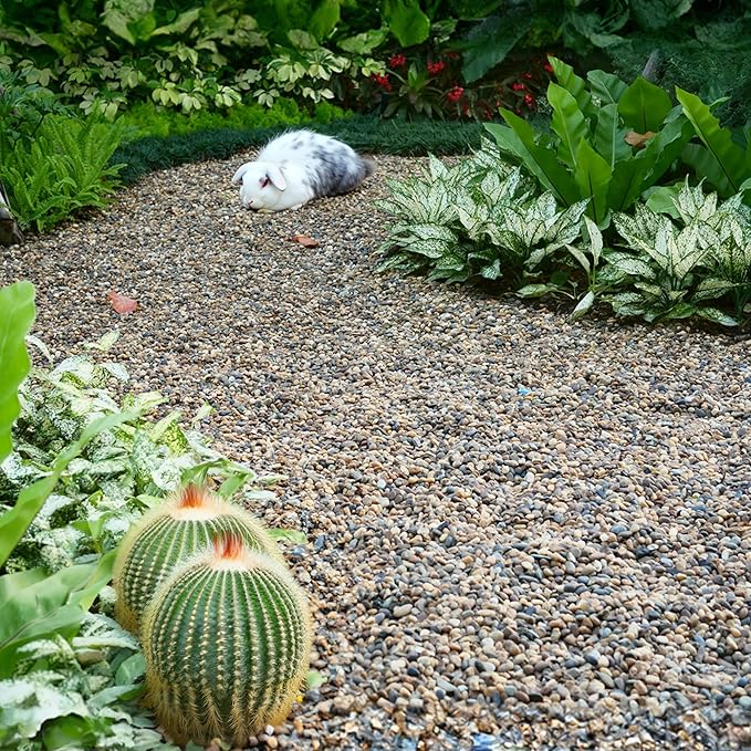 2 lbs Aquarium Gravel, 2-4mm Fish Tank Gravel, Succulent Cactus Pea Gravel for Indoor Plants, River Rocks for Gardening, Flower Pots, Vase Fillers, Garden Landscaping
