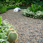 5 lbs Aquarium Gravel, 1-2mm Fish Tank Gravel, Premium Gravel and Substrate for Aquariums, Fish Tanks and Terrariums