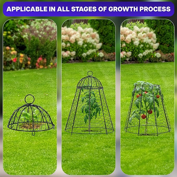 Life Finds Chicken Wire Garden Cloche Set, Protective Plant Cover for Flowers and Produce with Removable Top, Protection from Animals, Pack of 6, LF-GC6P