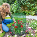 succulentlovers 4 Packs 13"x 16" Wire Plant Protector from Animals, Plant Protector Cages with Detachable Covers & Zip Ties & Stakes, Chicken Wire Plant Covers for Flower and Vegetables Protection
