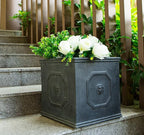 Kante Square Lion Head Concrete Planter, Classic English Style Plant Pot with Drainage Hole and Rubber Plug for Indoor Outdoor Garden Patio Home, 10.2"x10.2"x 10.2" Antique Gray