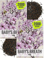 Seed Needs Pink Baby's Breath Seeds for Planting Rosy Pink Blooms - Heirloom & Open Pollinated Wildflowers to Attract Pollinators to a Butterfly Garden - Great for Cut Flowers (2 Packs)