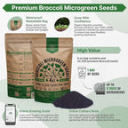 Organo Republic Broccoli Sprouting & Microgreens Seeds - 32,500 Non-GMO Heirloom Seeds, Sprouts in Bulk 4oz Resealable Bag for Planting & Growing in Soil, Coconut Coir, Aeroponic & Hydroponic System