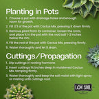 Premium Cactus & Succulent Soil Mix (0.5 Cu Ft) – Root Rot Protection with Volcanic Ash & Chicken Manure – Fast Draining Mix for Indoor Plants, Aloe, Citrus, & Palms – Organic, Ready-to-Use