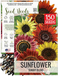 Seed Needs Sunset Sunflower Seeds for Planting Mixed Sunflowers - Heirloom & Open Pollinated Flower Seed to Plant an Outdoor Annual Butterfly Garden (1 Pack)