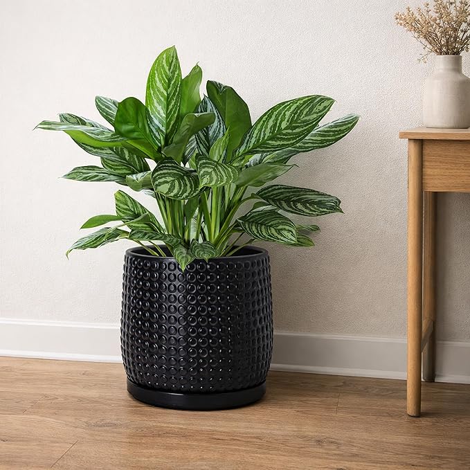 D'vine Dev 8 Inch Ceramic Beaded Stoneware Planter Pot - Flower Pot with Drainage Holes and Saucers for Indoor Succulent Plants or Flowers, Ebony Matte, 27-C-Q-6