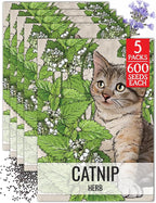Seed Needs Catnip Seeds for Planting Nepeta cataria - Non-GMO Heirloom & Untreated Herb Seed to Plant & Grow an Outdoor Home Grown Garden (5 Packs)