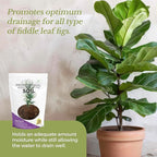 Professional Fiddle Leaf Fig Soil Mix Ready to Use Extra Large 8.2 Quarts, Premium Potting Soil for Fiddle Leaf Fig Indoor Houseplants, Peat Sawdust Coarse Sand Pinebark Made in USA