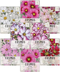 Seed Needs Cosmos Seeds for Planting a Collection of Cosmo Wildflowers - Heirloom & Open Pollinated Flower Seed to Plant Pink, White, Purple, Red & Bi-Colored Blooms for a Butterfly Garden