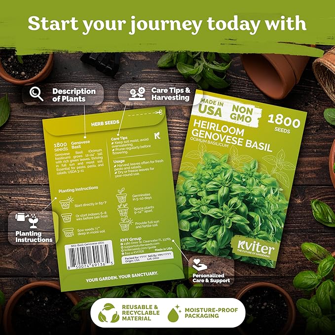 KVITER 1800 Genovese Basil Seeds for Planting (Ocimum basilicum) - Classic Savory Sweet Italian Basil - Non GMO & Heirloom Seeds for Kitchen Herb Garden, Containers & Beds, Indoors/Outdoors