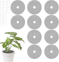 Planter Guard Set ‑ 10 Pieces Cuttable Pot Cover, Includes 10 Stakes Round Grid for Indoor Gardening Moss Protection, Kitten Dog Squirrel Animal Barrier Safety Mesh Garden Accessorie