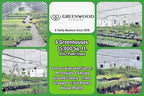Greenwood Nursery: Live Perennial Plants - Vera Lavender + Lavandula Angustifolia - [Qty: 5X Pint Pots] - (Click for Other Available Plants/Quantities)