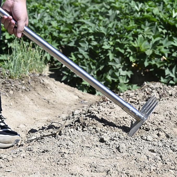 BARAYSTUS 4-in-1 Garden Hoe Tool and Weeder, 56 Inch Ergonomic Long Handle Cultivator with Sharp Stainless Steel Blade, Heavy Duty Garden Hand Tiller for Weeding, Digging, Loosening Soil,Removing Moss