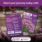 KVITER 1500 Joe Pye Weed Seeds (Eupatorium Maculatum) - Spotted Joe Pye Weed, Pink, Aromatic Wildflower, Butterfly Magnet - Perennial Flower Seeds in Seed Packets for Outdoor Flower Gardens