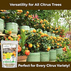 GARDENWISE Professional Citrus Fertilizer + Vital Micronutrients; Perfect Balanced NPK for All Citrus; for Indoor and Outdoor Plants; Orange, Lime, Avocado and Lemon Tree Fertilizer (3 QUARTS)