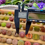 Lithops Succulent Plants Live – 0.4-0.6" 50 Pcs Rare Living Stones Mix, Succulents Bare Root Without Pot & Soil, Easy-Care Indoor Office Desk Decoration, Unique Plant Gifts for Succulent Lovers