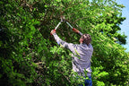 Felco Pruning Loppers (F 211-60) - Heavy Duty Ergonomical Hedge & Tree Limb Trimmer (60cm)