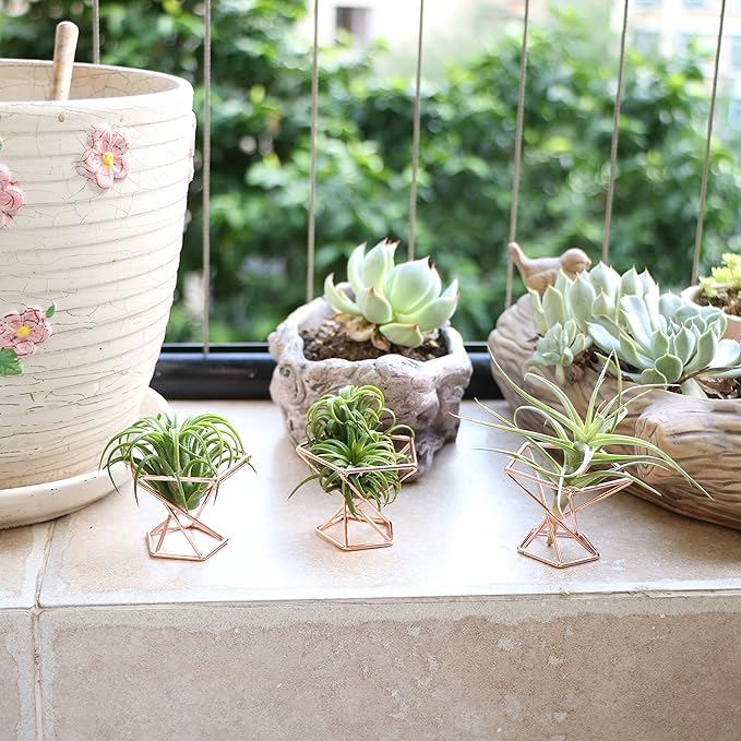 Geometric Air Plant Holder Airplants Rack Metal Plants Stand Planter Shelves Himmeli Living Decor Tillandsia Pot Containers (Rose Gold 5pcs)