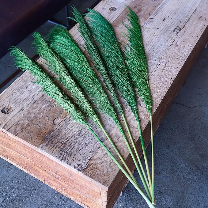 Green Pampas Grass Decor Tall for Floor Vase,Long Natural Pampas Grass, Large Dried Pompas Floral, Elegant Feather Flowers,Wedding Living Room Decorations (Natural Green, 4pcs 43.3"(110cm))