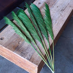 Green Pampas Grass Decor Tall for Floor Vase, Dried Pampas Grass, Large Pompas Floral, Elegant Feather Flowers for Wedding Decorations, Living Room Decor (Natural Green, 6pcs 43.3"(110cm))