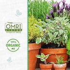 Back to the Roots 100% Organic Vermiculite (24 qt Value Pack) | Made in the USA | Premium Nutrition for Indoor and Outdoor Plants