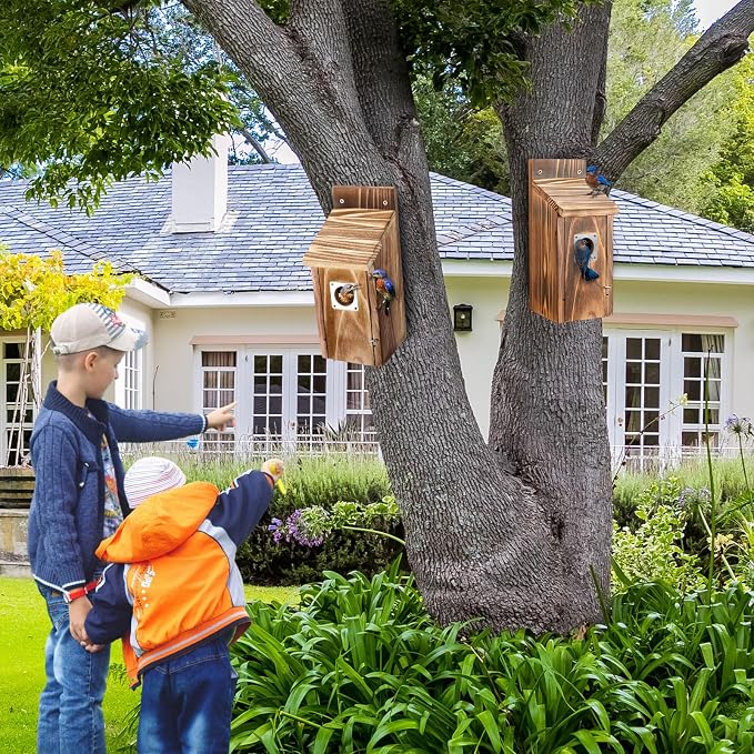 Dreyoo 2 Pack Bluebird Box Houses for Outside,1-1/2'' Entrance Hole Wooden Bird Houses with Metal Guard, Secure Latch,Fledgling Grooves,Air Vents for Bluebird Wren Swallow(Burnt Wood)