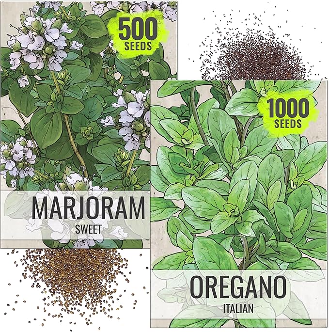 Seed Needs Sweet Marjoram & Italian Oregano Seeds for Planting Fresh Kitchen Herbs - Non-GMO Heirloom & Untreated Perennial Herb Seed to Plant a Culinary Garden Indoors or Outdoors (2 Pack Duo)