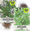 Seed Needs Sweet Marjoram & Italian Oregano Seeds for Planting Fresh Kitchen Herbs - Non-GMO Heirloom & Untreated Perennial Herb Seed to Plant a Culinary Garden Indoors or Outdoors (2 Pack Duo)